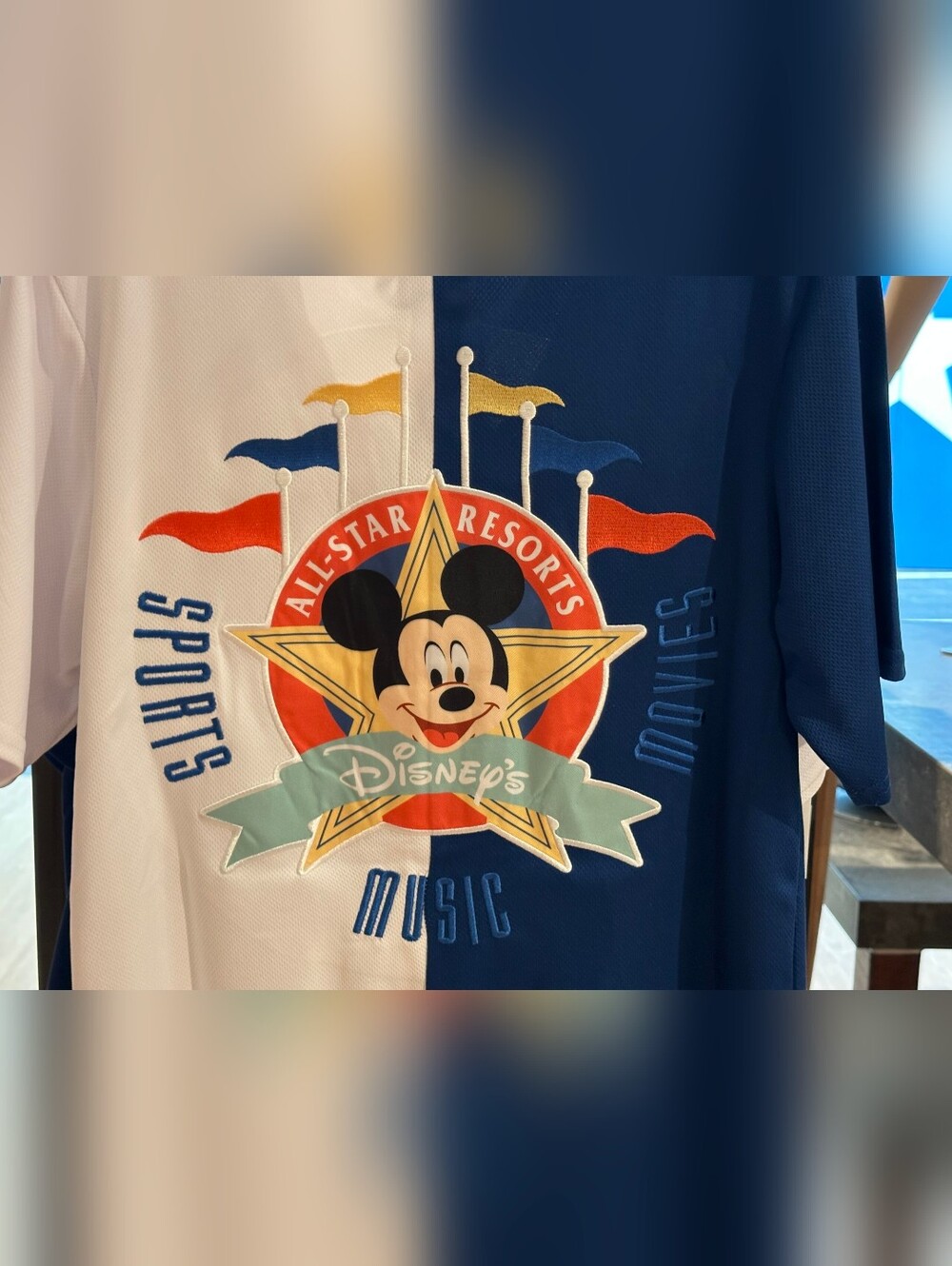 Disney Parks All Star Resort Hoodie Unisex